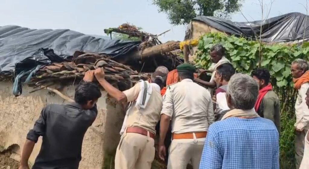 मैहर जिले में जंगली हाथी का कहर, खेत में सो रहे किसान को कुचला