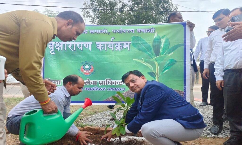 जिला न्यायालय के सेशन हाउस में वृक्षारोपण कार्यक्रम आयोजित