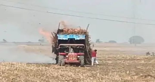 ट्रॉली में भरी मक्के की करप बिजली तार से टकराई, पूरी फसल जलकर राख
