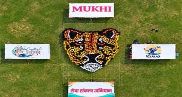 एक हजार महिलाओं ने बनाई चीता मुखी ह्यूमन रंगोली, कूनो चीता प्रोजेक्ट के चार साल पूरे होने पर आयोजन